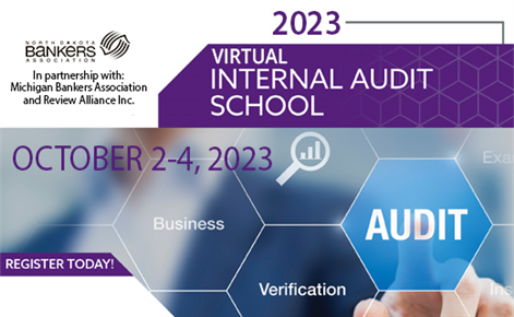 Virtual Internal Audit School